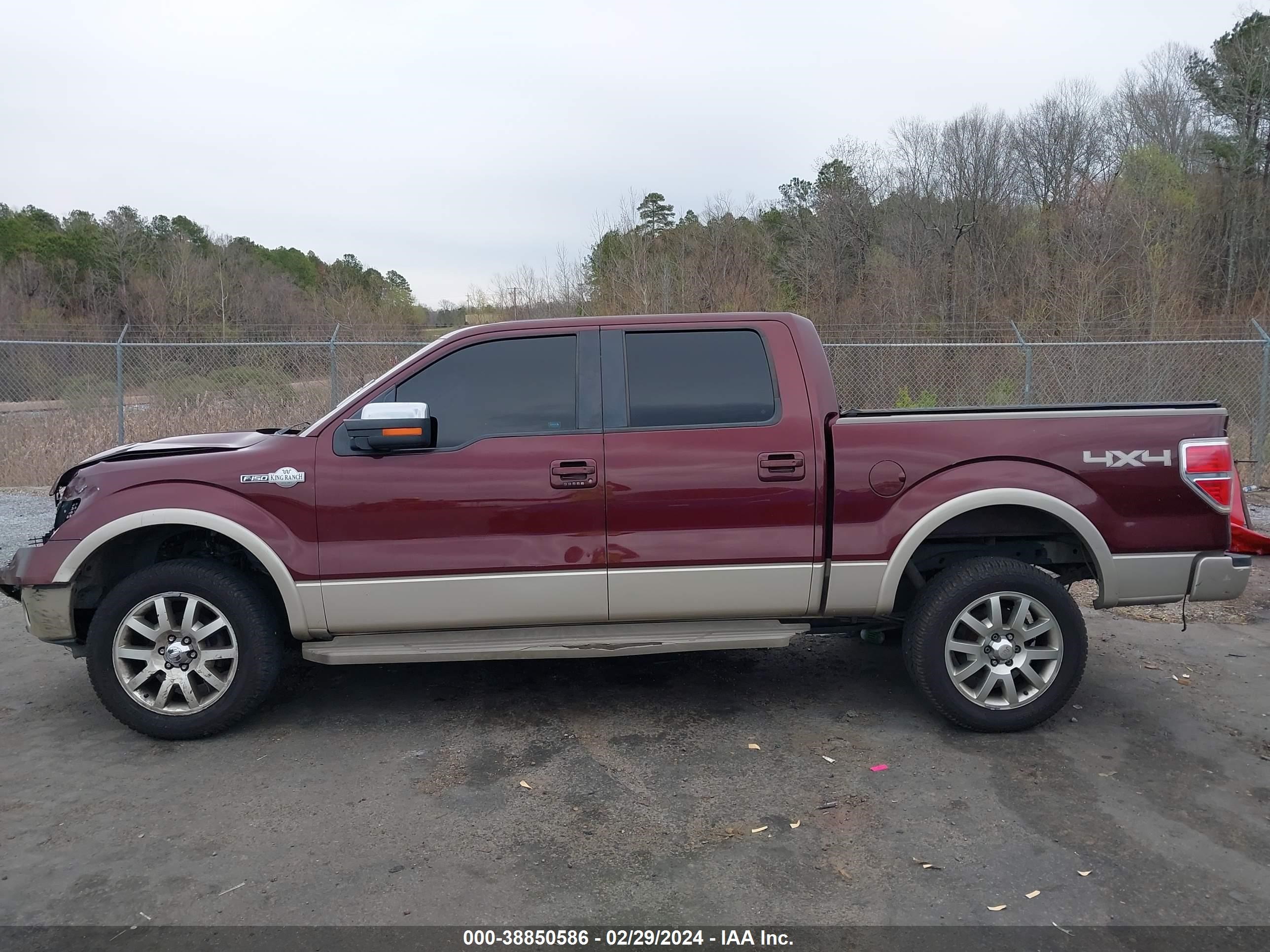 Photo 14 VIN: 1FTPW14V69KA90135 - FORD F-150 