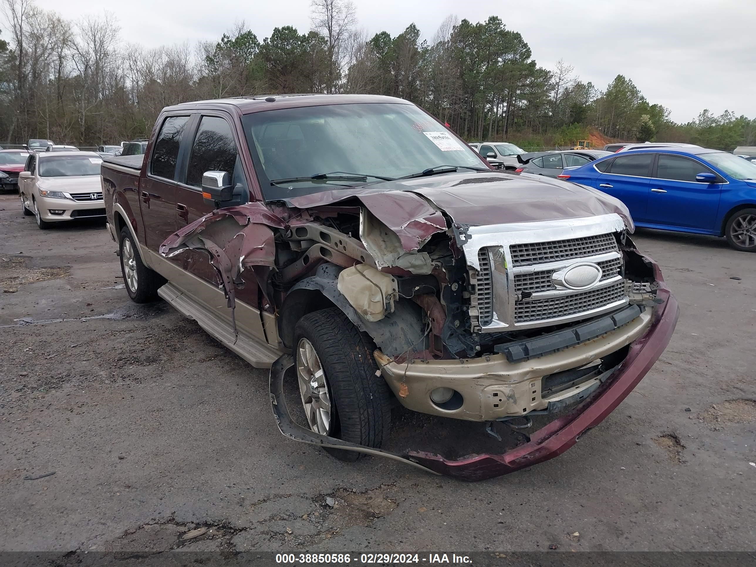 Photo 5 VIN: 1FTPW14V69KA90135 - FORD F-150 