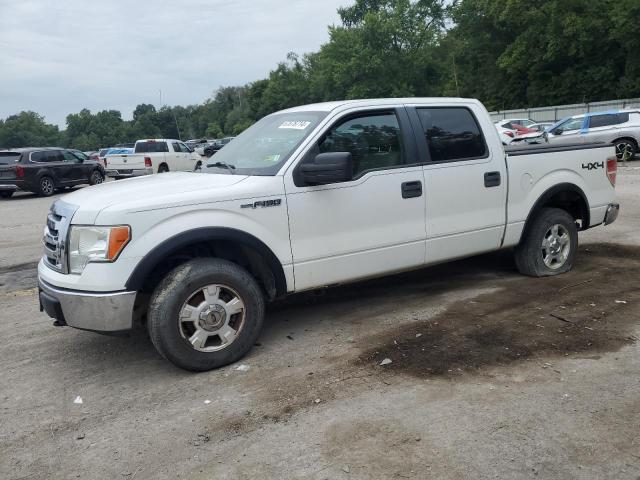 Photo 0 VIN: 1FTPW14V89KC73343 - FORD F150 SUPER 