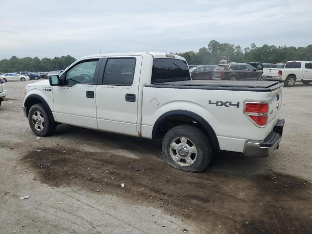 Photo 1 VIN: 1FTPW14V89KC73343 - FORD F150 SUPER 