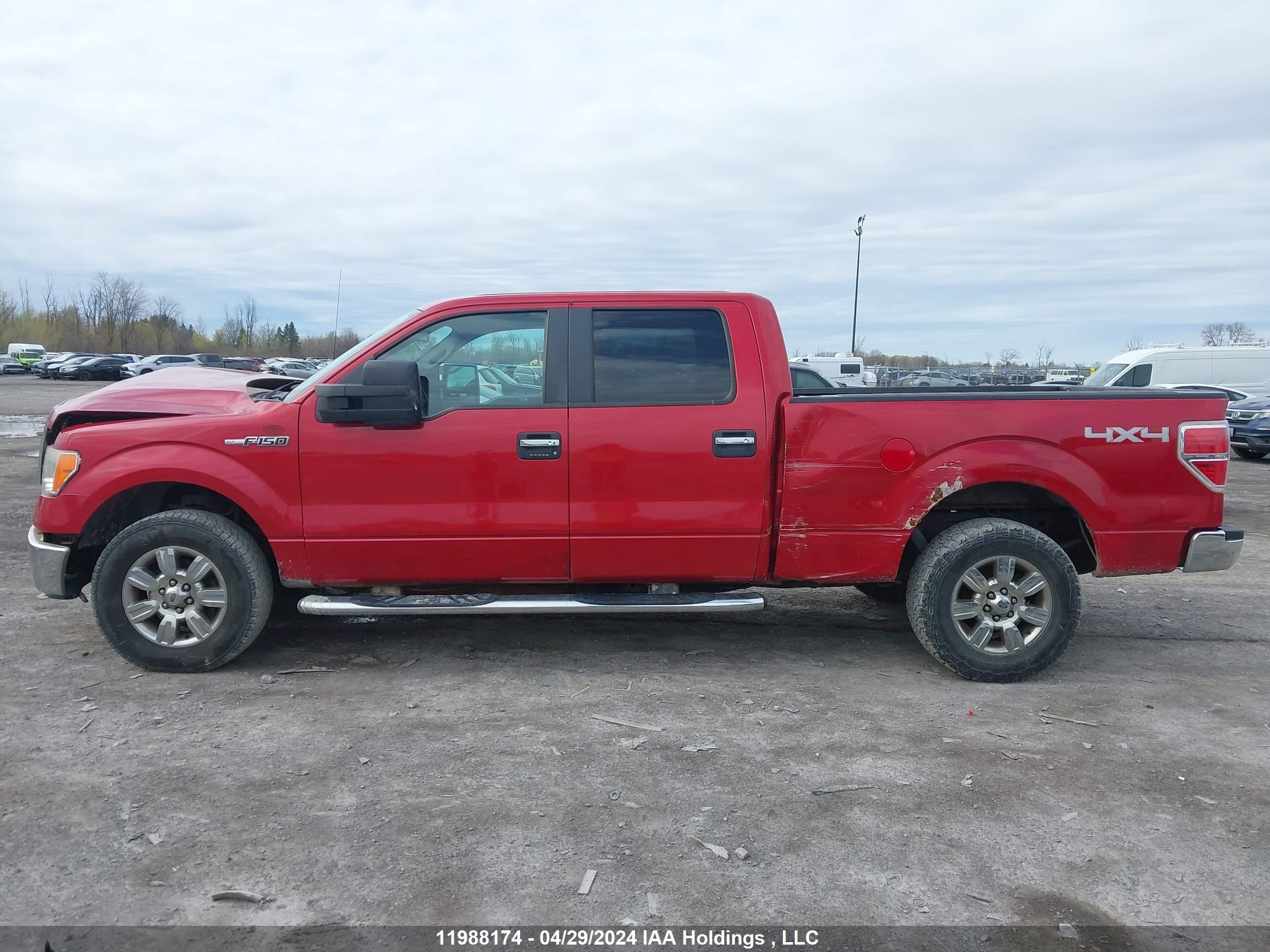 Photo 13 VIN: 1FTPW14V99FB43886 - FORD F-150 