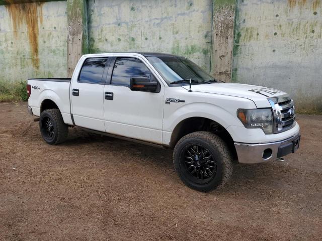 Photo 3 VIN: 1FTPW14V99FB48473 - FORD F150 SUPER 