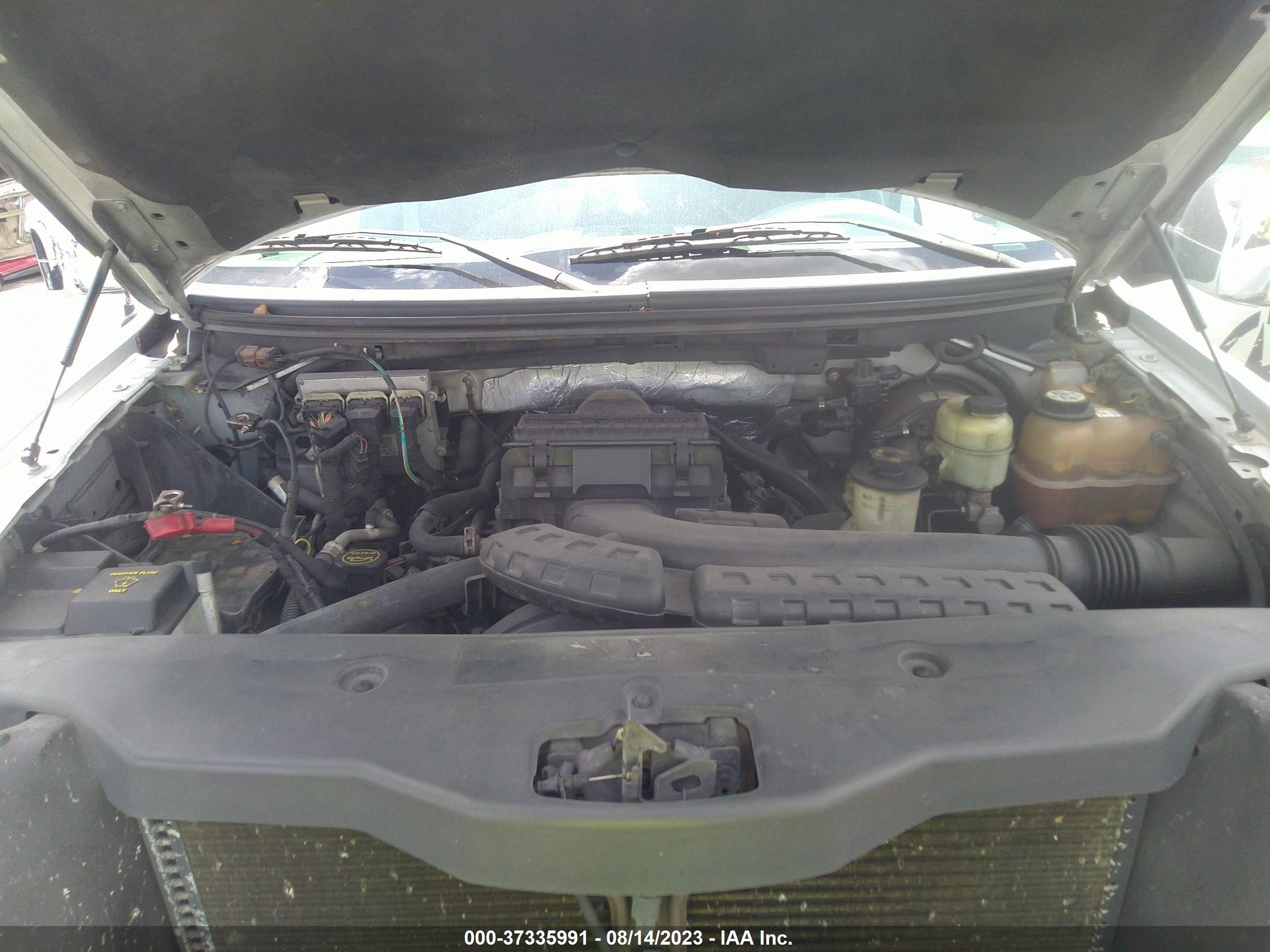 Photo 9 VIN: 1FTPX12V26NB46145 - FORD F-150 