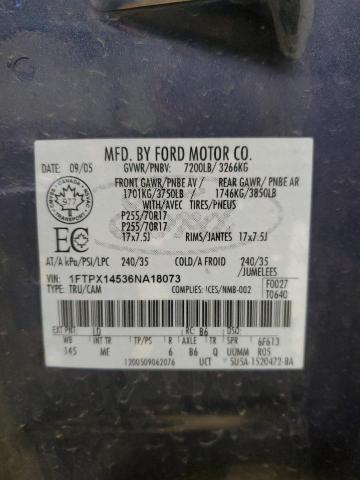 Photo 11 VIN: 1FTPX14536NA18073 - FORD F150 