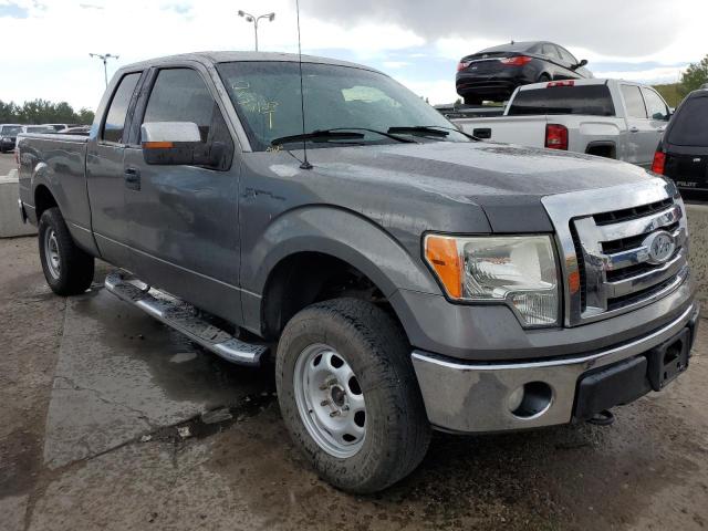 Photo 3 VIN: 1FTPX14V39FA14846 - FORD F-150 