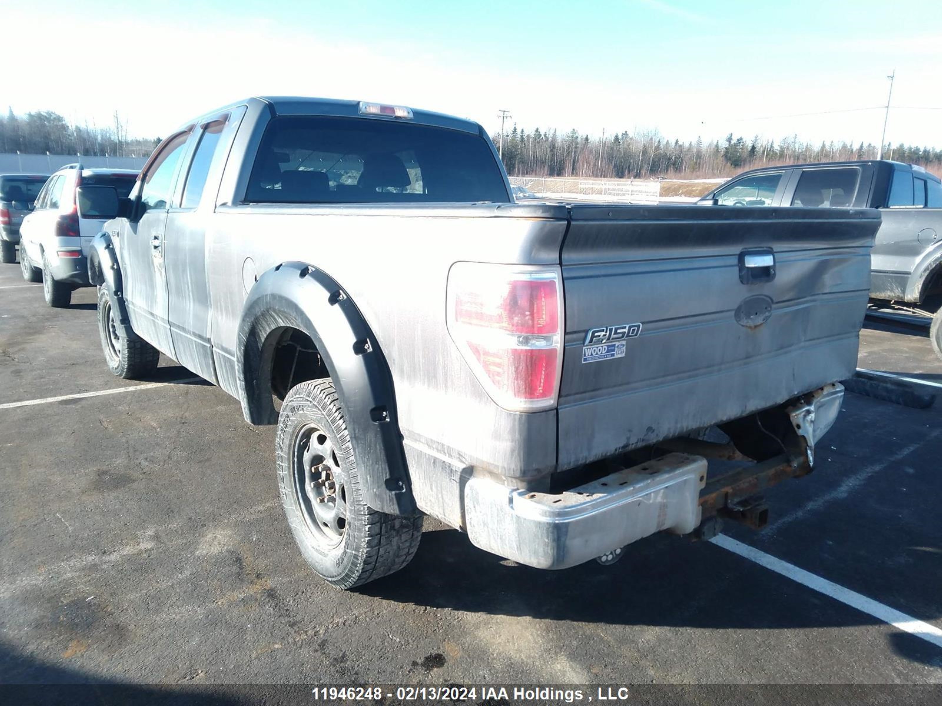 Photo 2 VIN: 1FTPX14VX9FA54499 - FORD F-150 