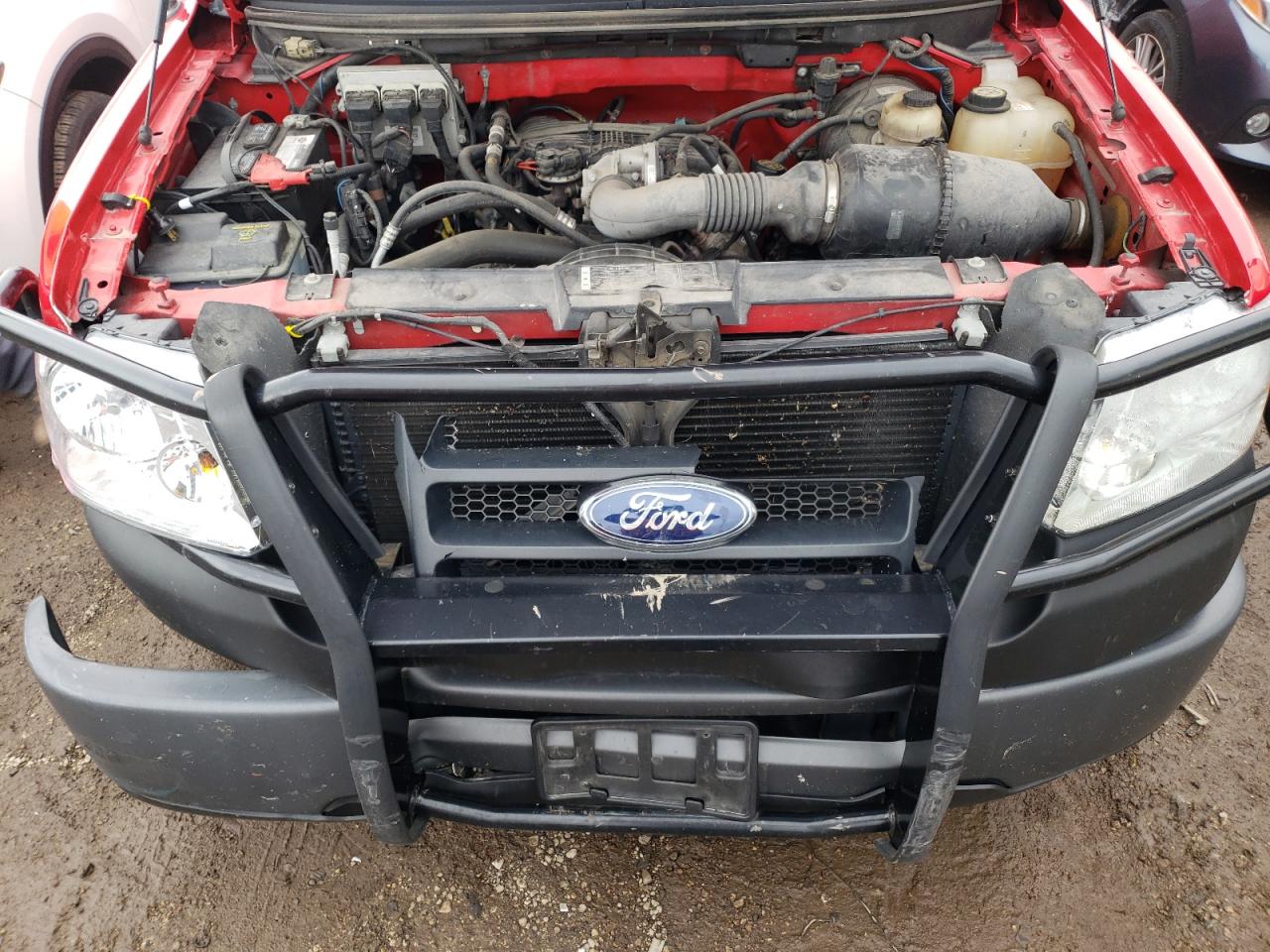 Photo 10 VIN: 1FTRF12217NA82098 - FORD F-150 