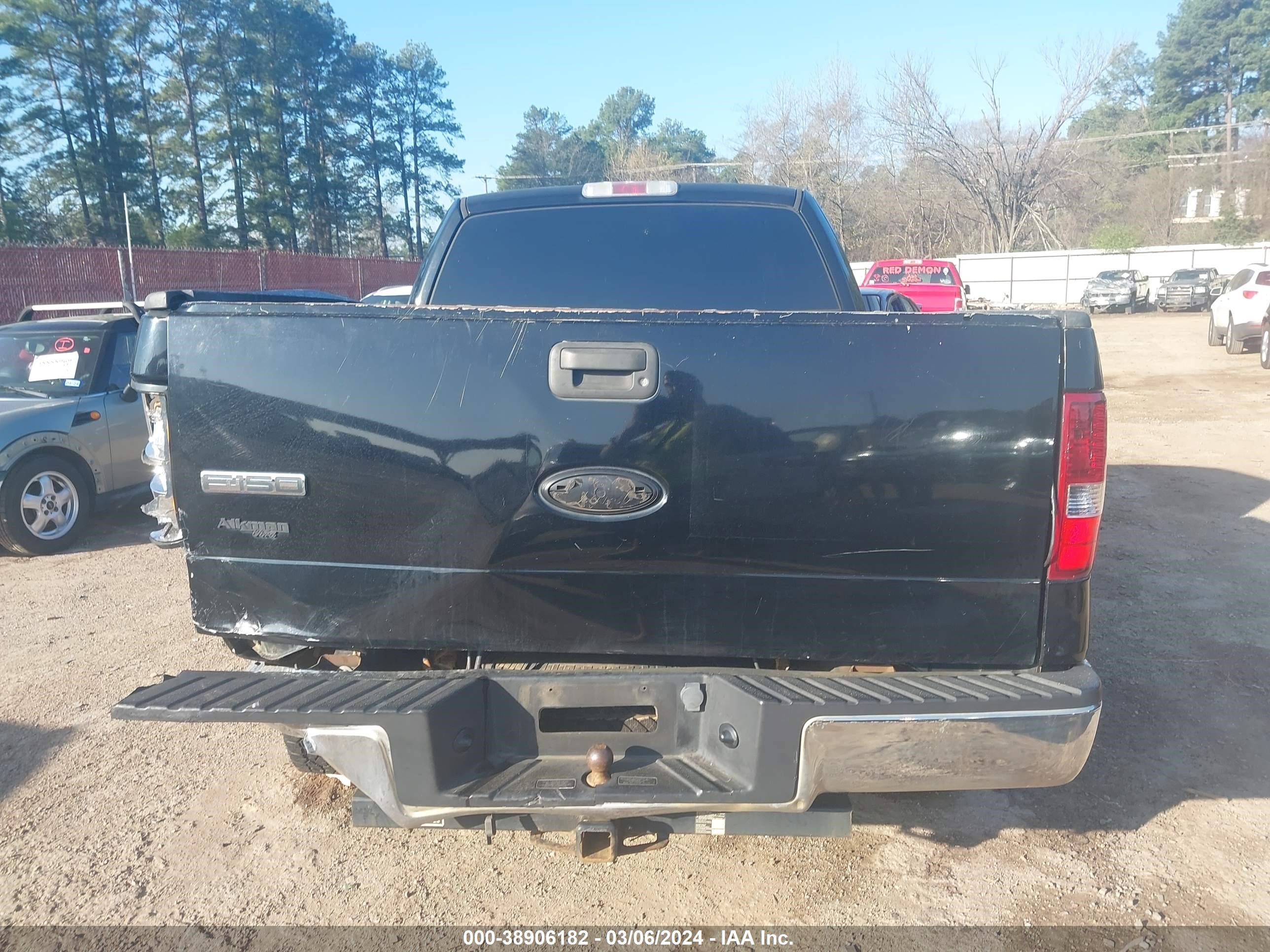 Photo 14 VIN: 1FTRF12W06NA26445 - FORD F-150 