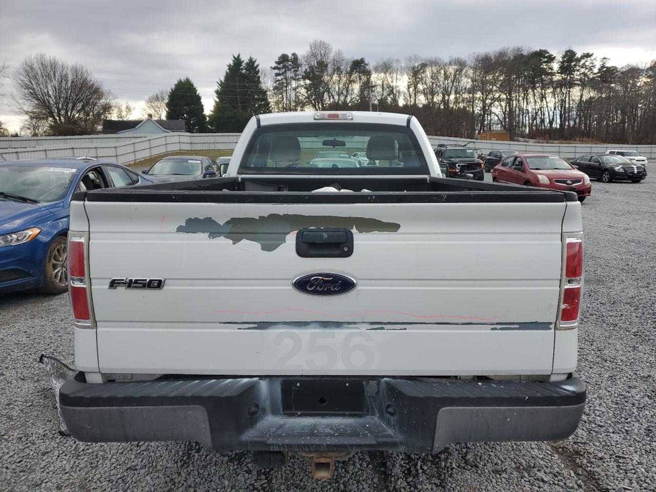 Photo 9 VIN: 1FTRF12W69KA97056 - FORD F-150 