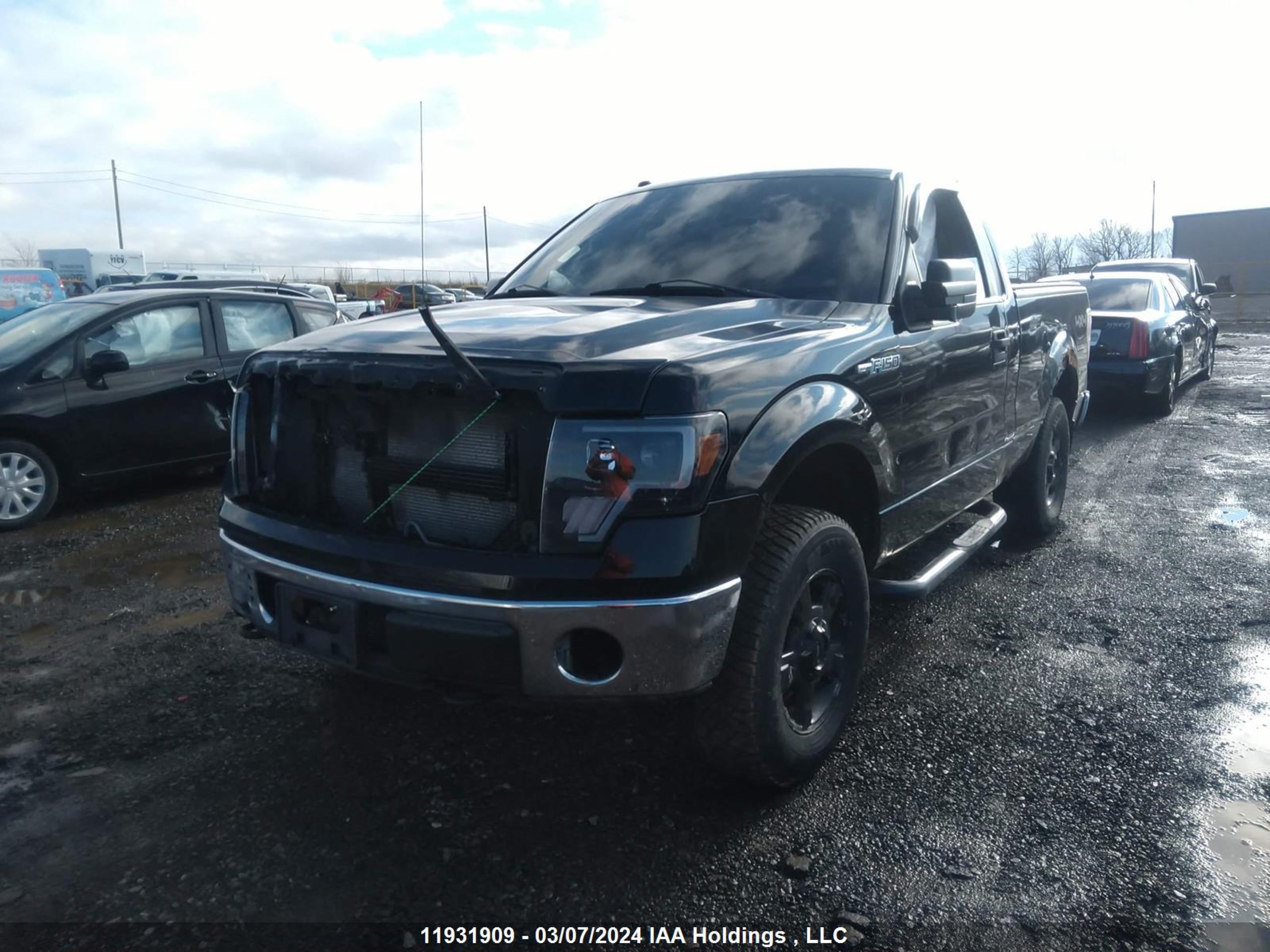 Photo 1 VIN: 1FTRF14V89KC70211 - FORD F-150 