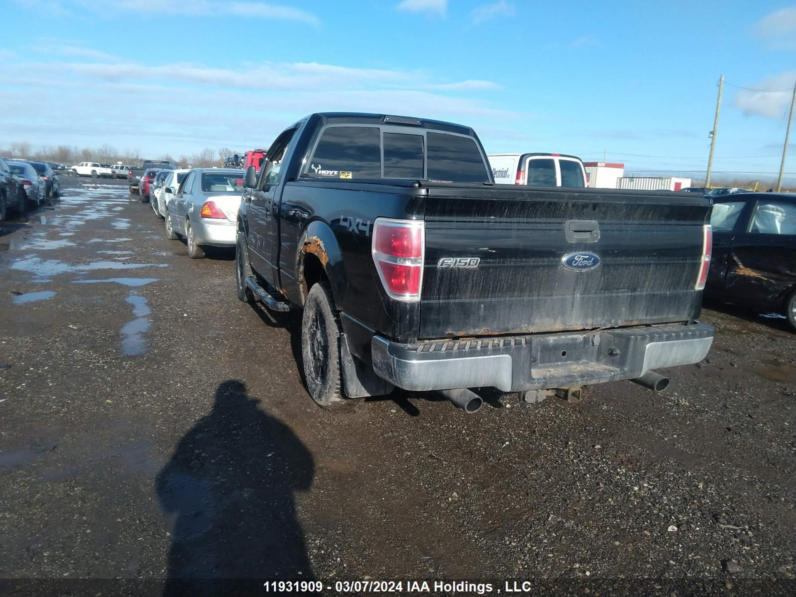 Photo 2 VIN: 1FTRF14V89KC70211 - FORD F-150 