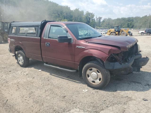 Photo 3 VIN: 1FTRF14W69KB66650 - FORD F150 