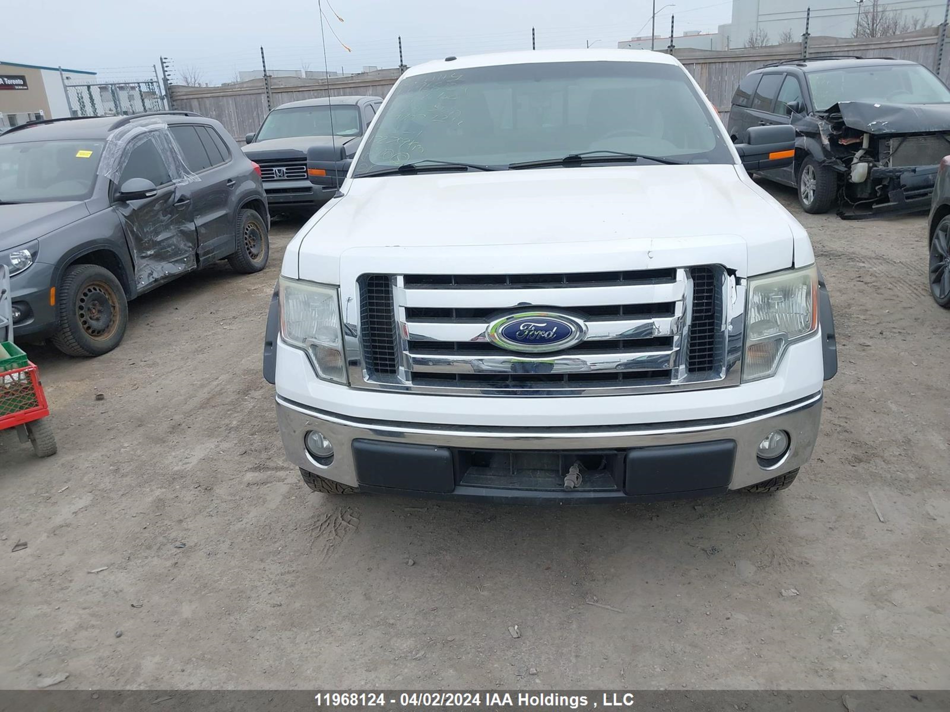 Photo 12 VIN: 1FTRW12849FA00995 - FORD F-150 