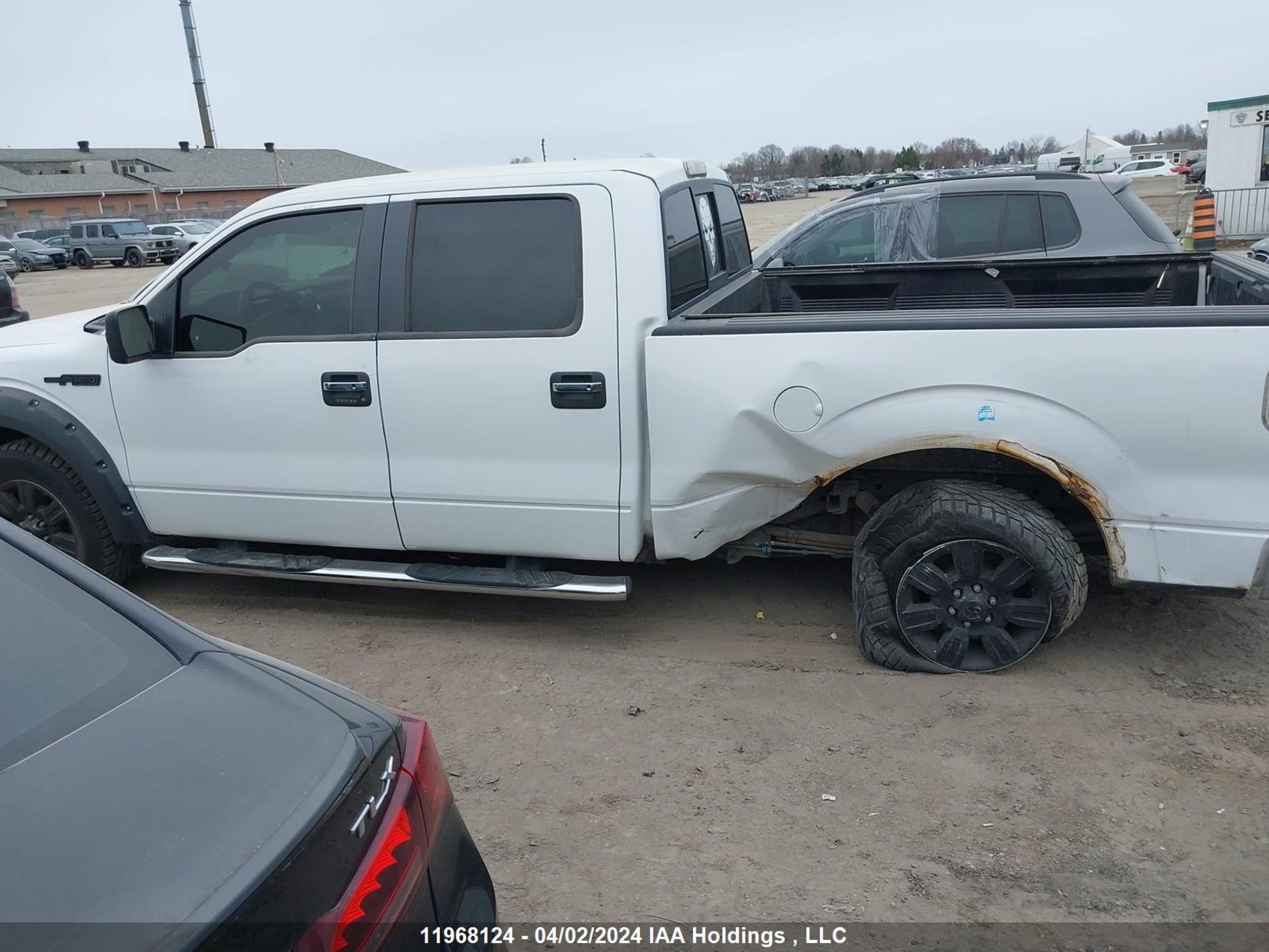 Photo 14 VIN: 1FTRW12849FA00995 - FORD F-150 