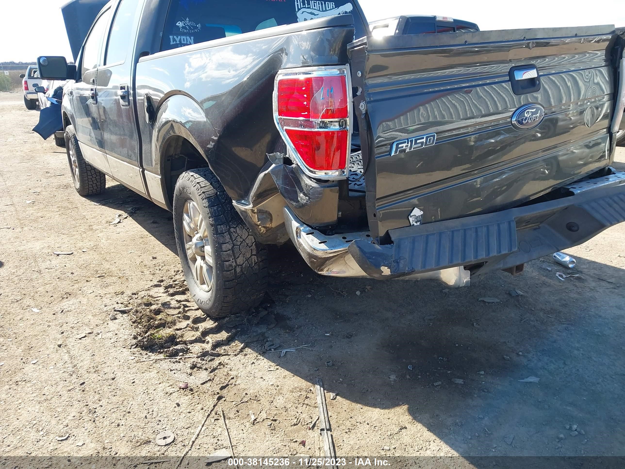 Photo 5 VIN: 1FTRW12889KC23435 - FORD F-150 