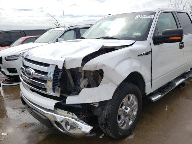 Photo 8 VIN: 1FTRW12899FA08204 - FORD F150 SUPER 