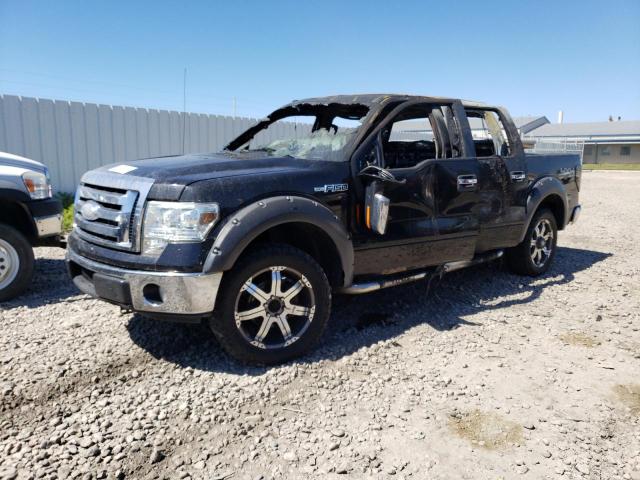 Photo 0 VIN: 1FTRW14869FA40833 - FORD F150 SUPER 