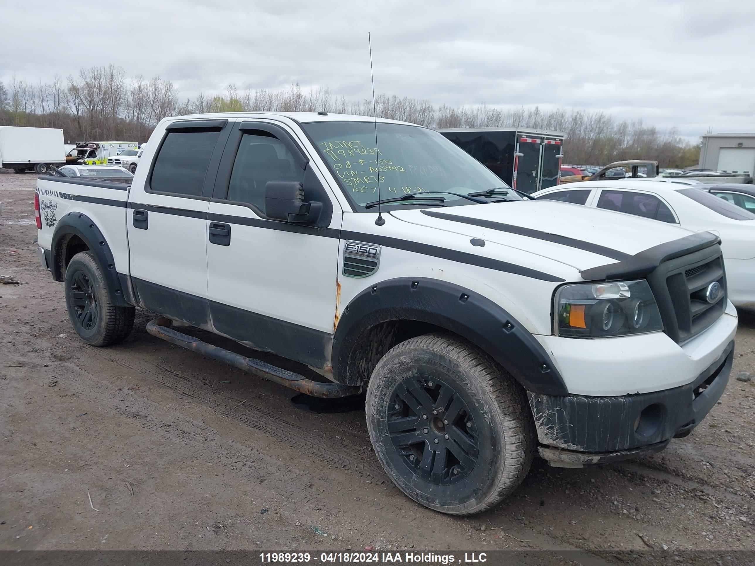 Photo 12 VIN: 1FTRW14W68FA03942 - FORD F-150 