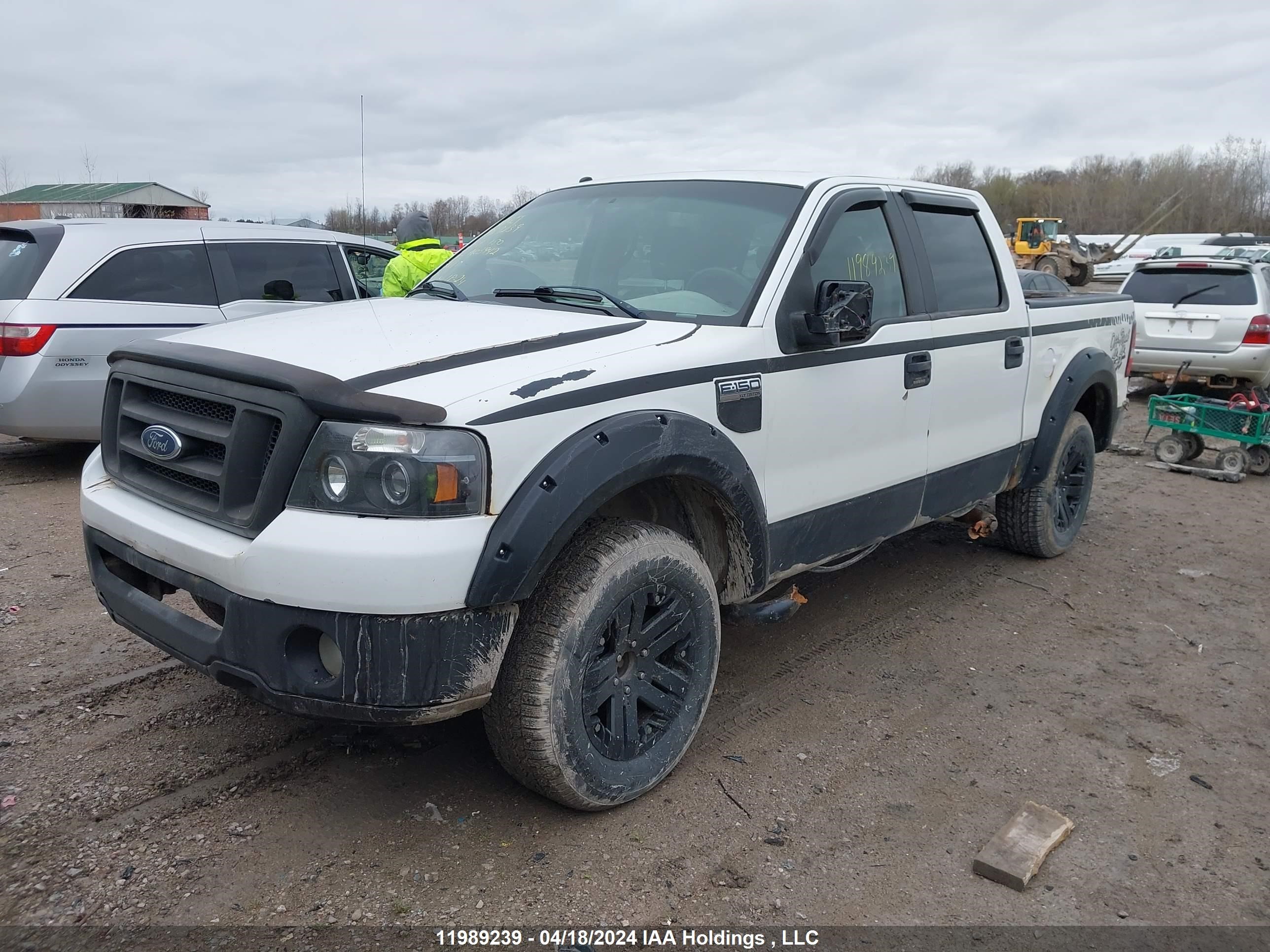 Photo 5 VIN: 1FTRW14W68FA03942 - FORD F-150 