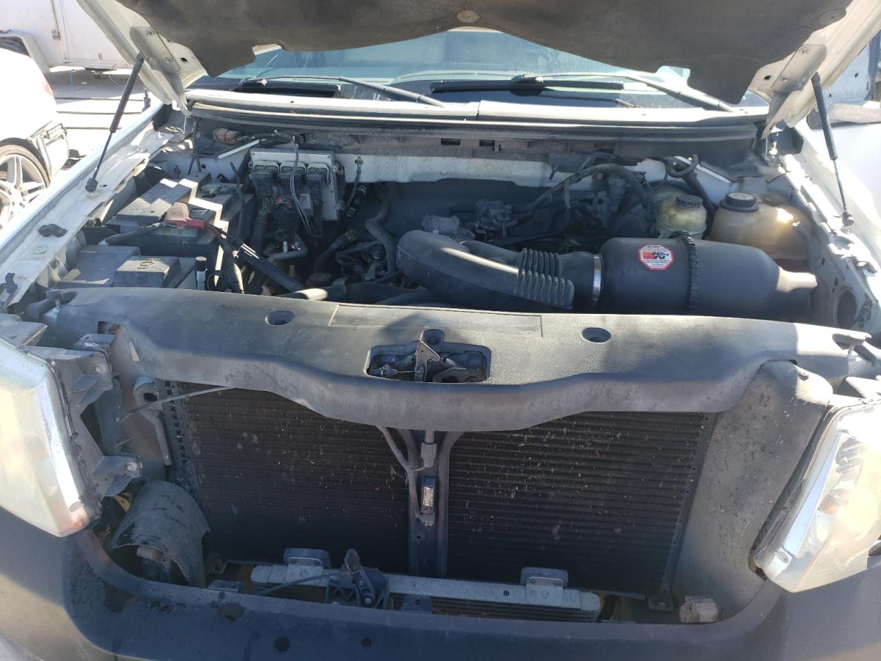 Photo 10 VIN: 1FTRX12W27FA30294 - FORD F-150 