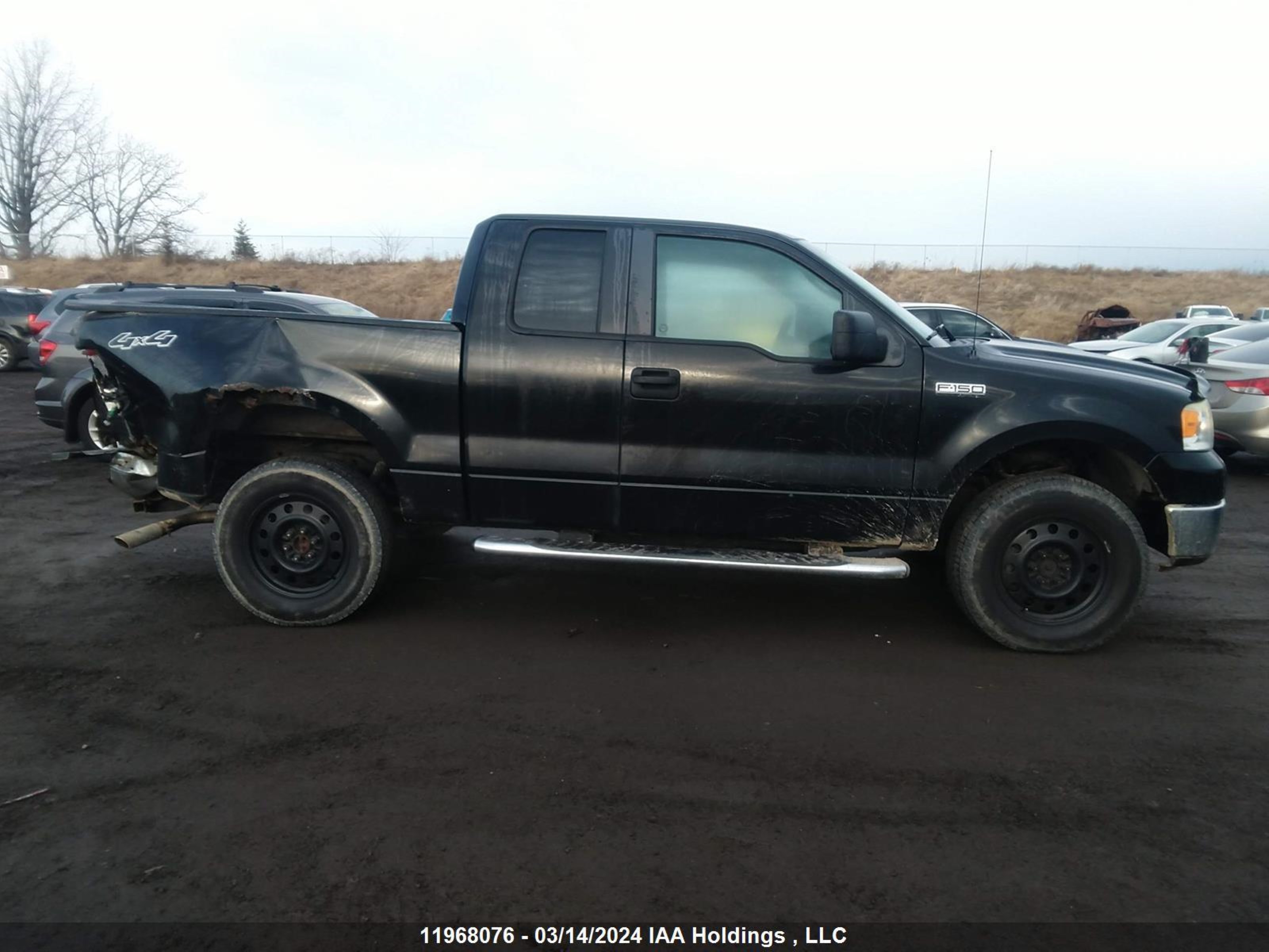 Photo 12 VIN: 1FTRX14W17FA81234 - FORD F-150 