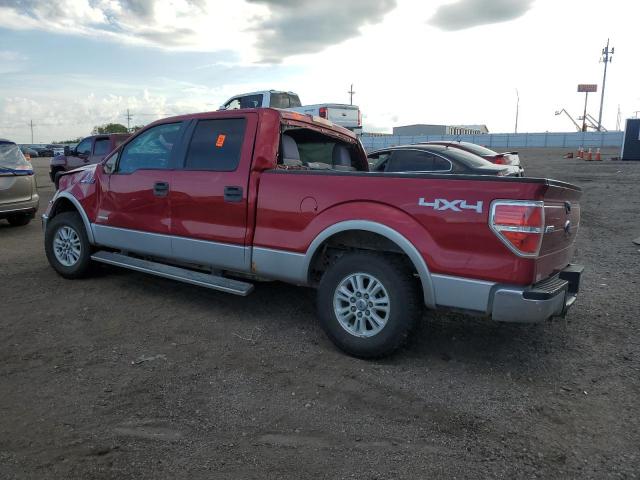 Photo 1 VIN: 1FTVW1ET3CKE20891 - FORD F150 SUPER 