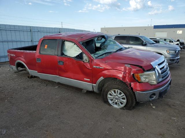 Photo 3 VIN: 1FTVW1ET3CKE20891 - FORD F150 SUPER 