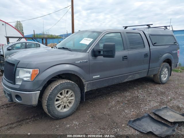 Photo 1 VIN: 1FTVW1ET7EKD45342 - FORD F150 