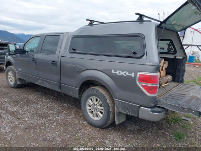 Photo 2 VIN: 1FTVW1ET7EKD45342 - FORD F150 