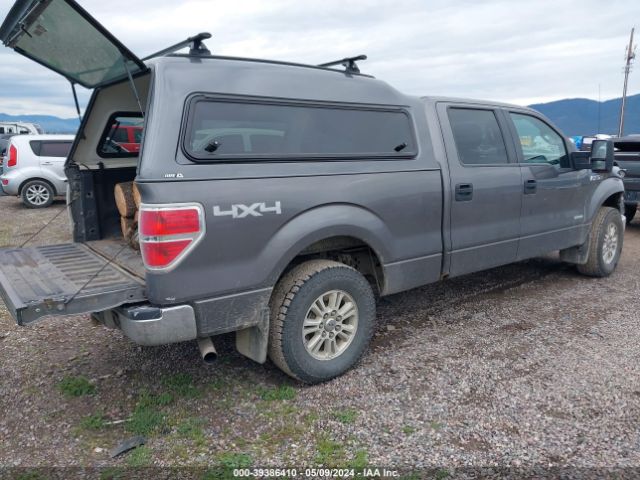 Photo 3 VIN: 1FTVW1ET7EKD45342 - FORD F150 