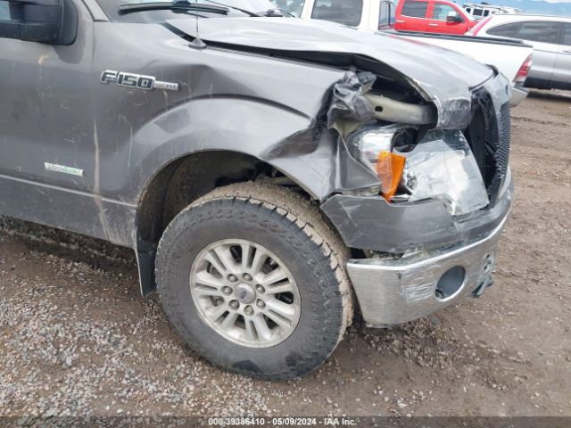 Photo 5 VIN: 1FTVW1ET7EKD45342 - FORD F150 