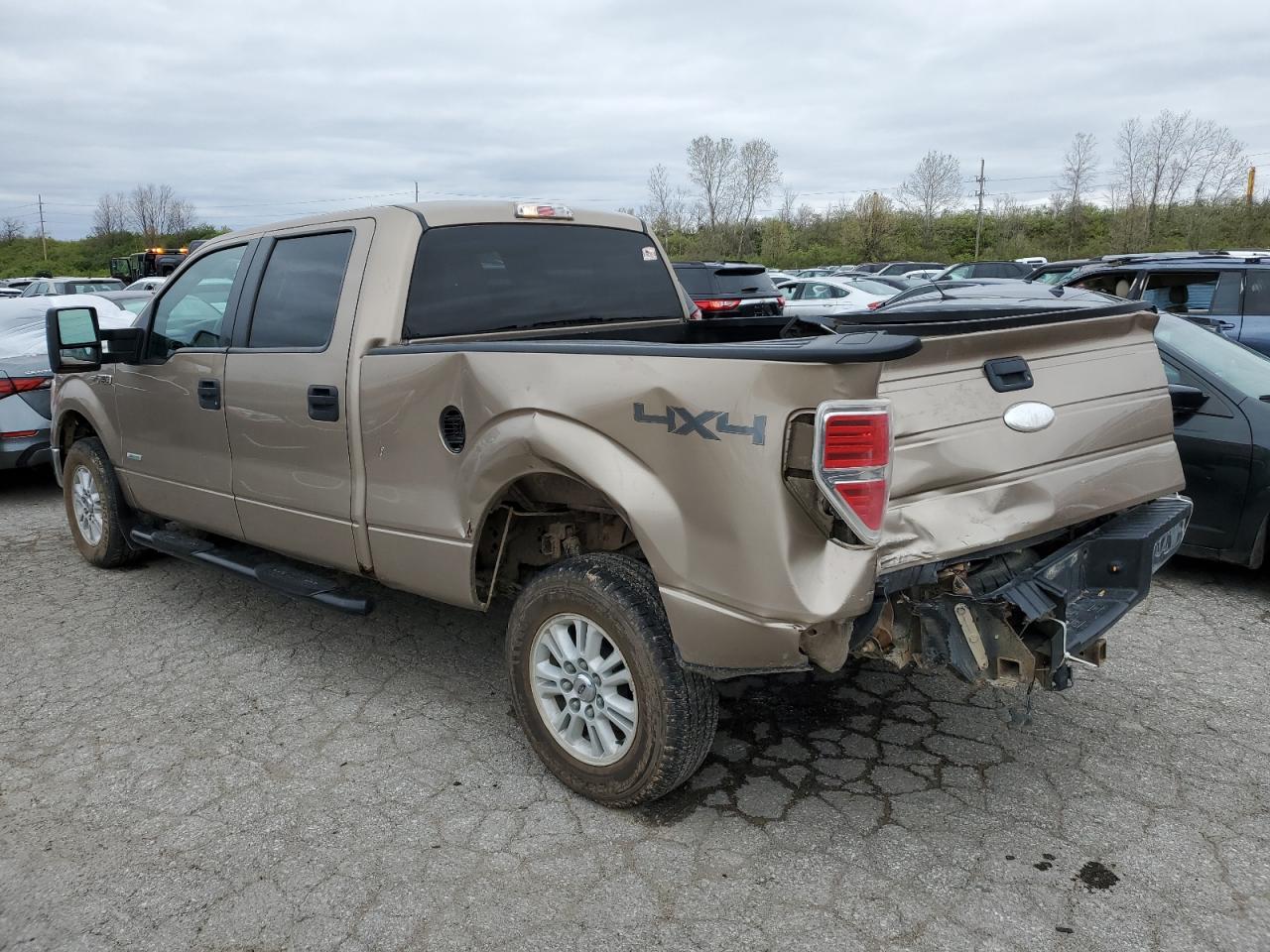 Photo 1 VIN: 1FTVW1ET8CKD30443 - FORD F-150 