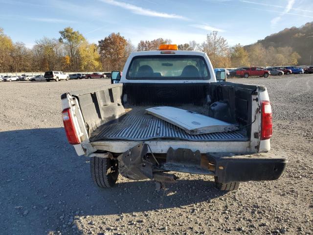 Photo 5 VIN: 1FTWF3B52AEB17683 - FORD F350 SUPER 