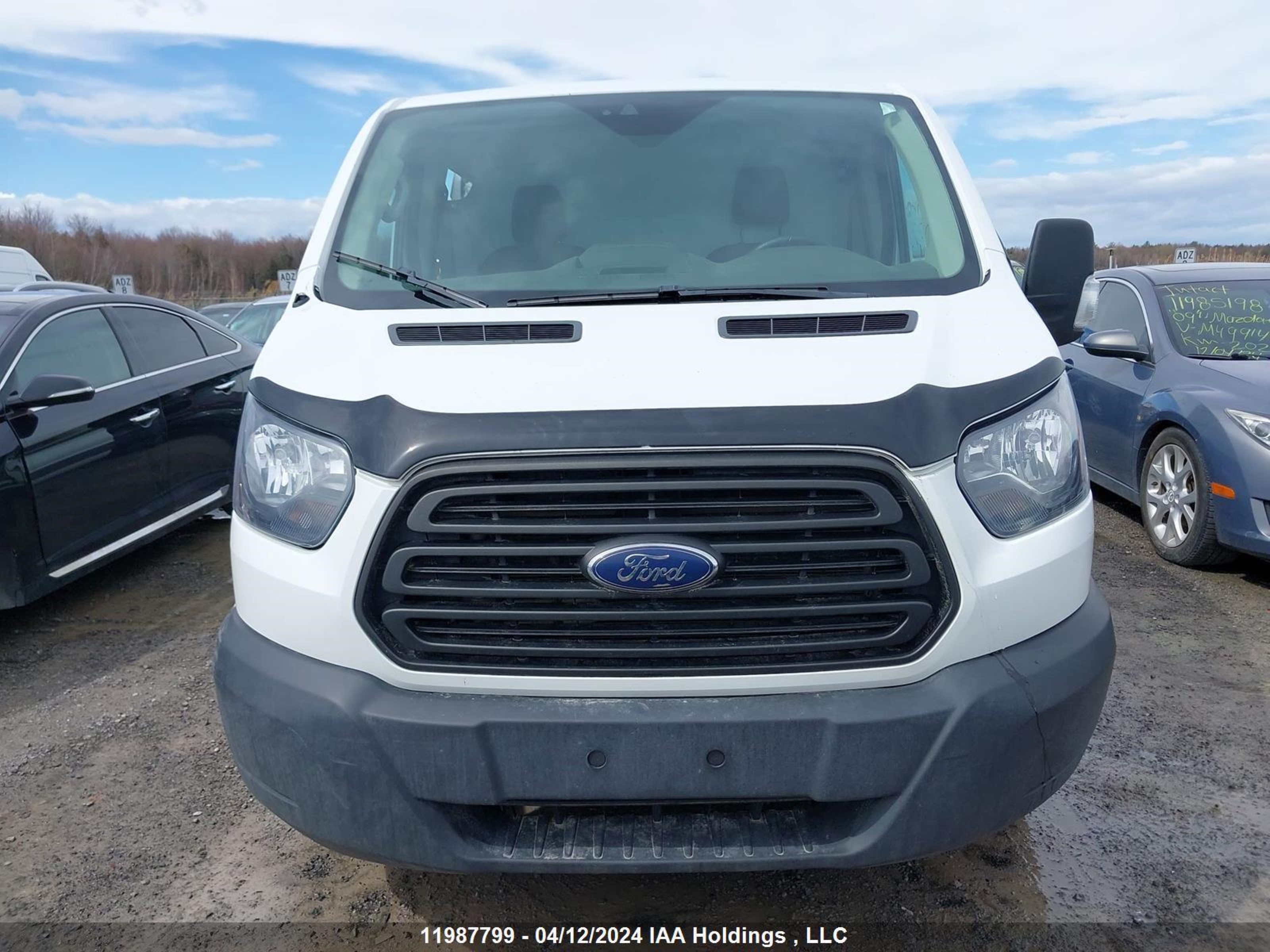 Photo 11 VIN: 1FTYE1YM3KKB03583 - FORD TRANSIT 