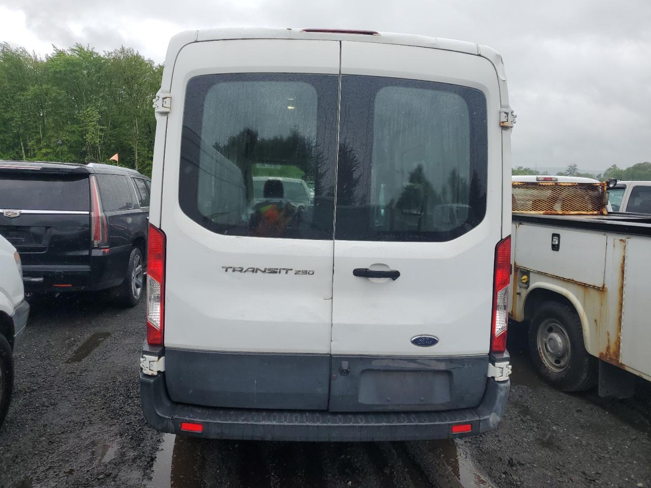 Photo 5 VIN: 1FTYR1CM2HKA44112 - FORD TRANSIT 