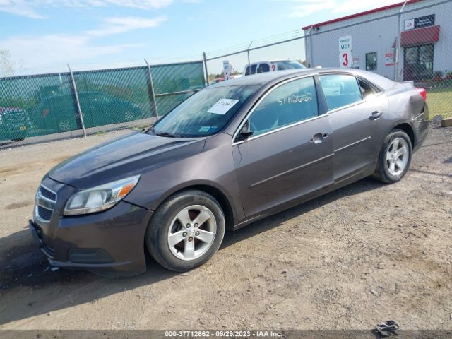 Photo 1 VIN: 1G11A5SA3DF316525 - CHEVROLET MALIBU 