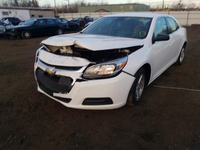 Photo 1 VIN: 1G11A5SA4GF154344 - CHEVROLET MALIBU LIM 