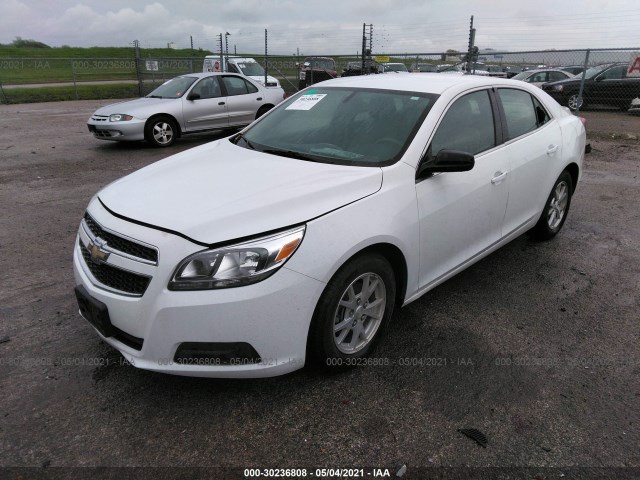 Photo 1 VIN: 1G11A5SA7DF321906 - CHEVROLET MALIBU 