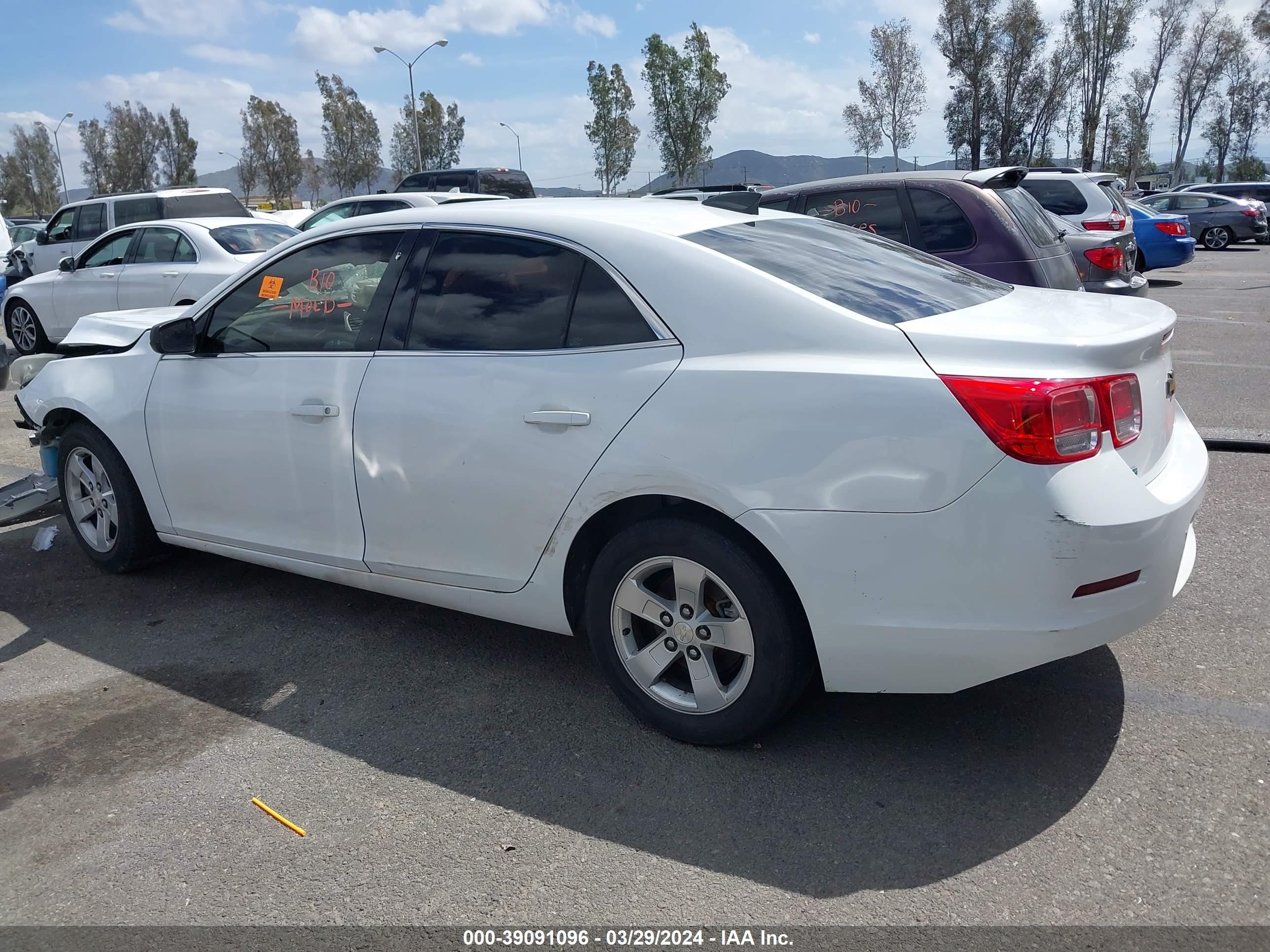 Photo 12 VIN: 1G11A5SAXGU159804 - CHEVROLET MALIBU 