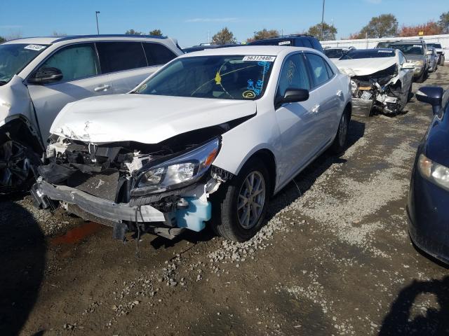 Photo 1 VIN: 1G11A5SL7EF242271 - CHEVROLET MALIBU LS 