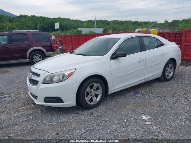 Photo 1 VIN: 1G11B5SA0DF156620 - CHEVROLET MALIBU 