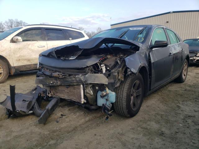 Photo 1 VIN: 1G11B5SA0GU116599 - CHEVROLET MALIBU LIM 