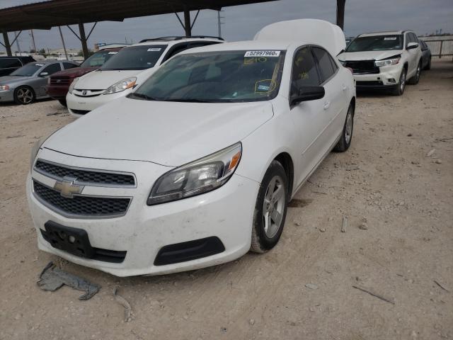 Photo 1 VIN: 1G11B5SA3DF290313 - CHEVROLET MALIBU LS 