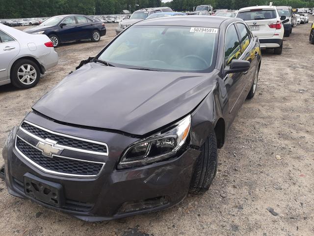 Photo 1 VIN: 1G11B5SA5DF231005 - CHEVROLET MALIBU LS 