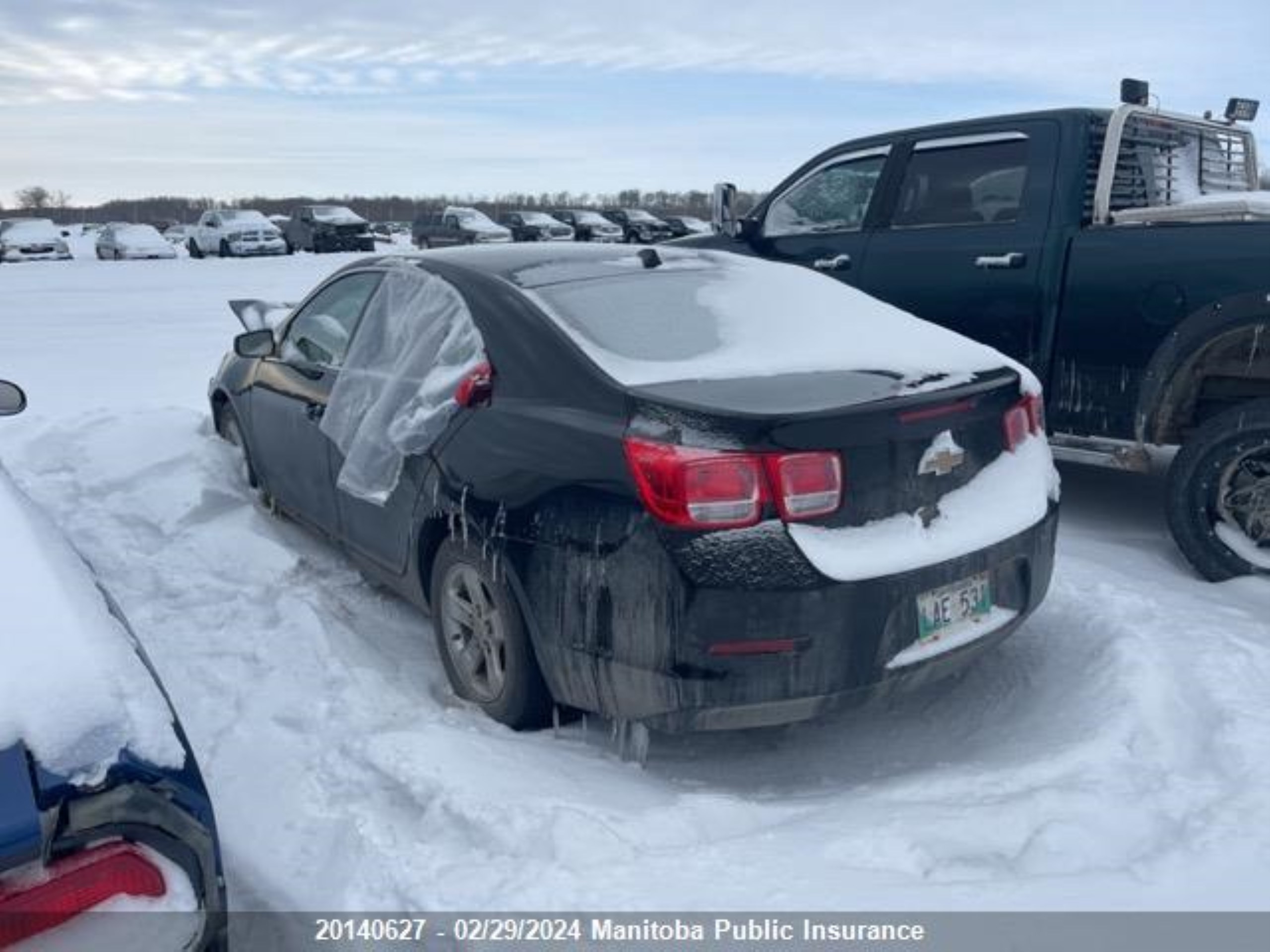 Photo 3 VIN: 1G11B5SA7DU125974 - CHEVROLET MALIBU 