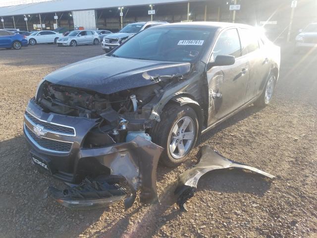 Photo 1 VIN: 1G11B5SA8DF338212 - CHEVROLET MALIBU LS 