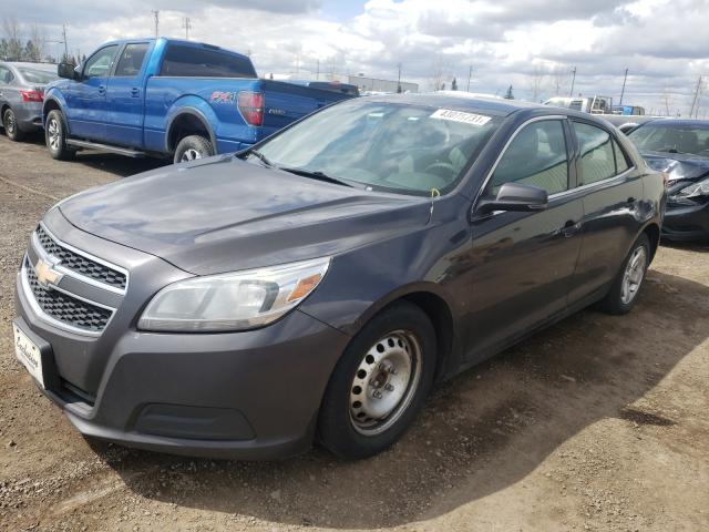 Photo 1 VIN: 1G11B5SA9DF276030 - CHEVROLET MALIBU LS 