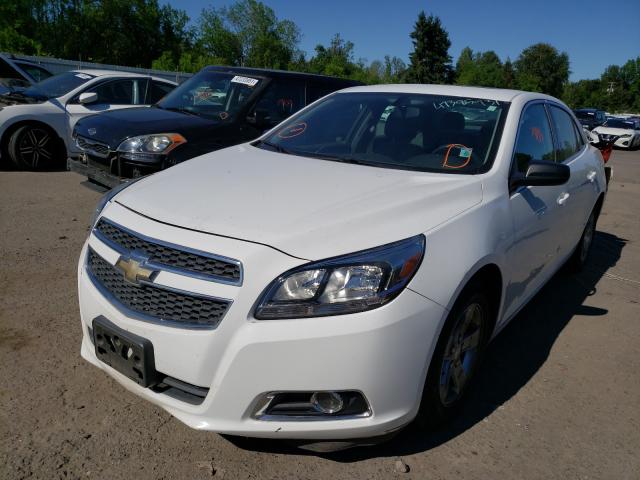 Photo 1 VIN: 1G11B5SAXDF180486 - CHEVROLET MALIBU LS 