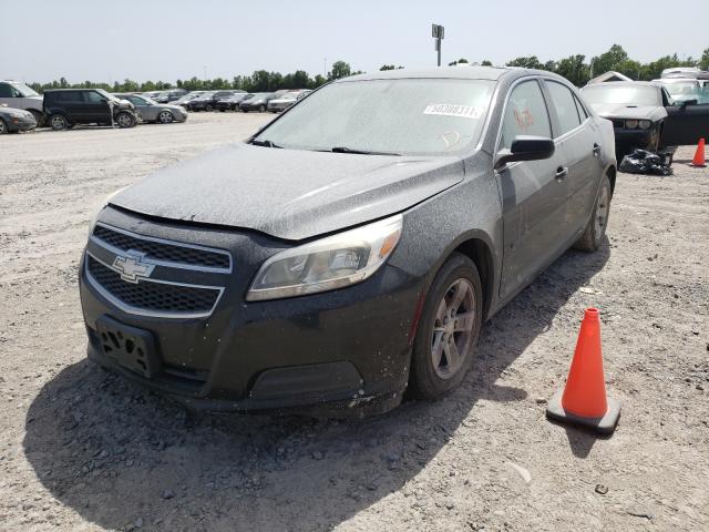 Photo 1 VIN: 1G11B5SAXDF346313 - CHEVROLET MALIBU LS 