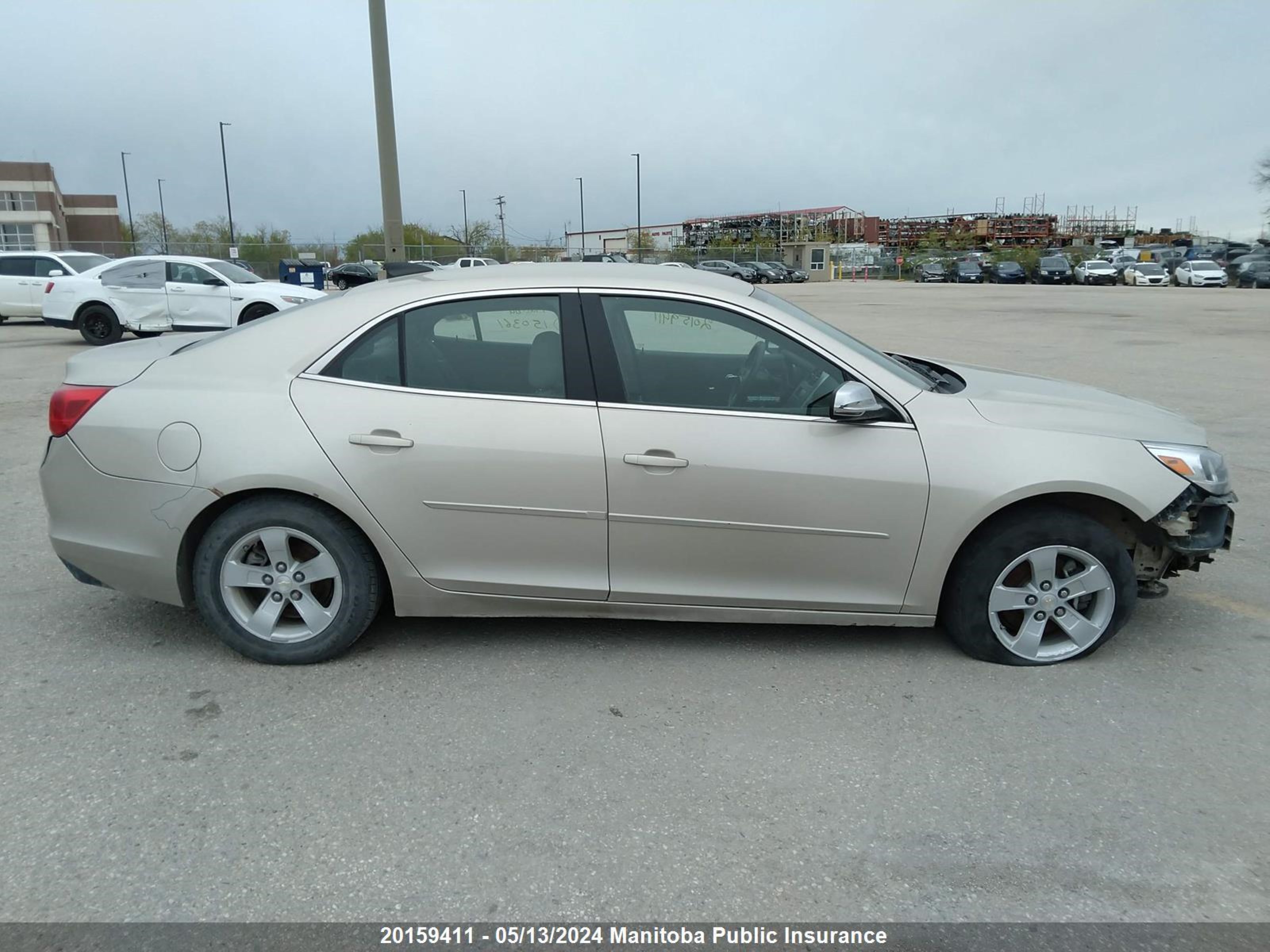 Photo 12 VIN: 1G11B5SAXGF150361 - CHEVROLET MALIBU 